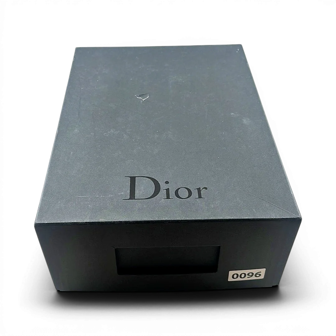 Dior B22