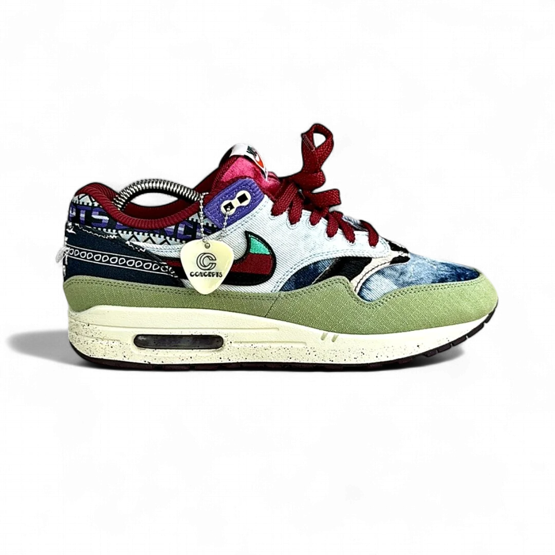 Nike Air Max 1 Projet Spécial Concepts Mellow
