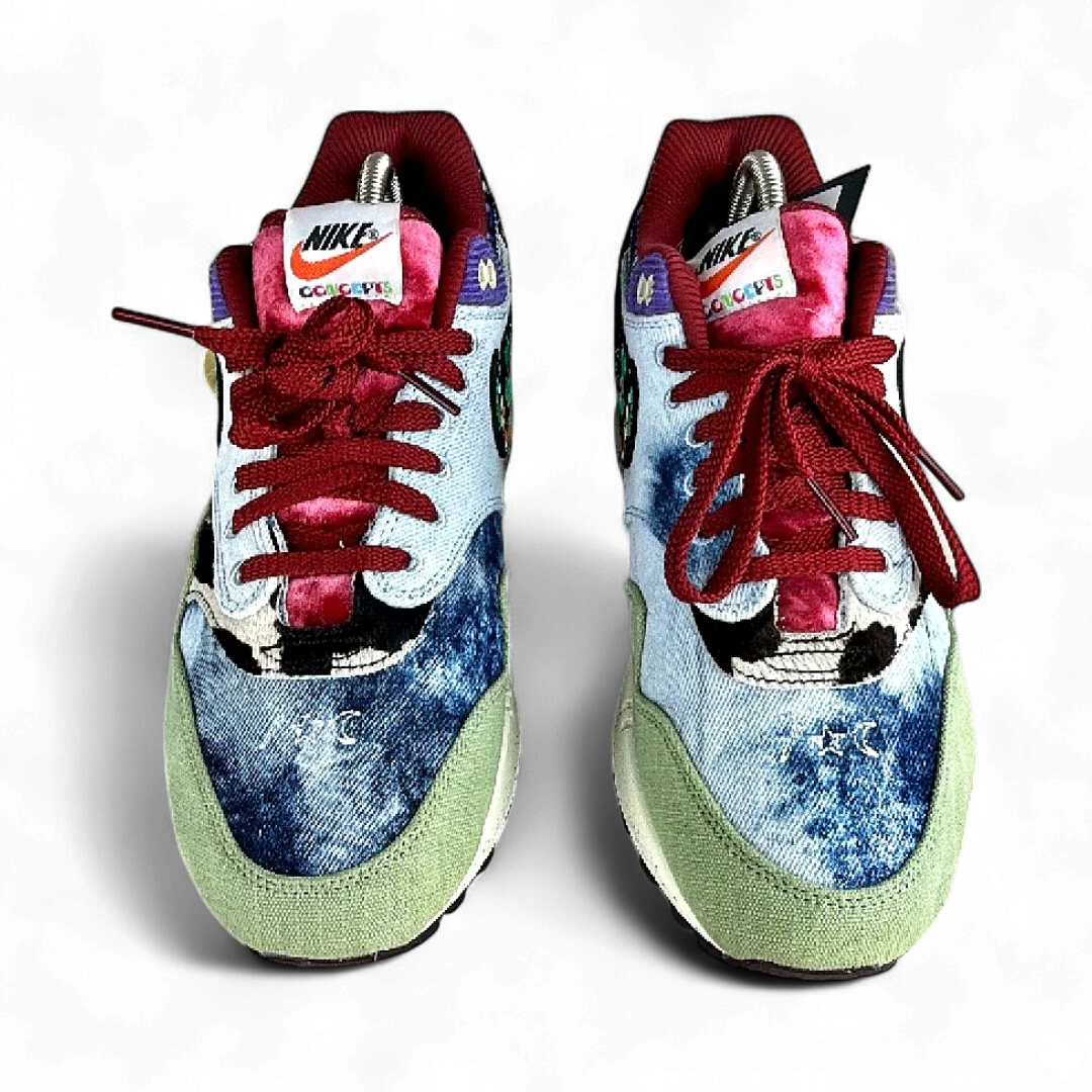 Nike Air Max 1 Projet Spécial Concepts Mellow