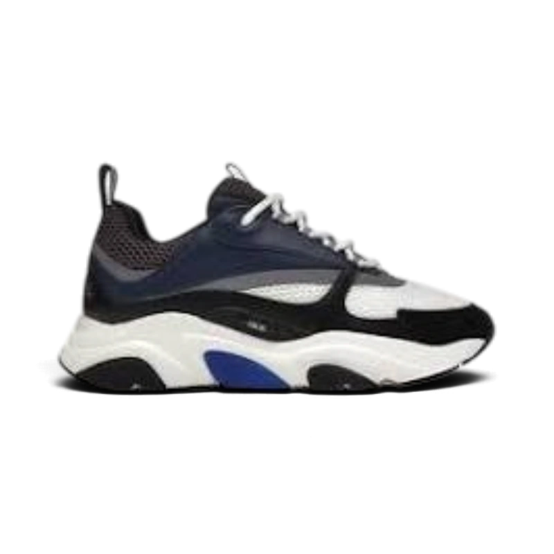 Dior B22